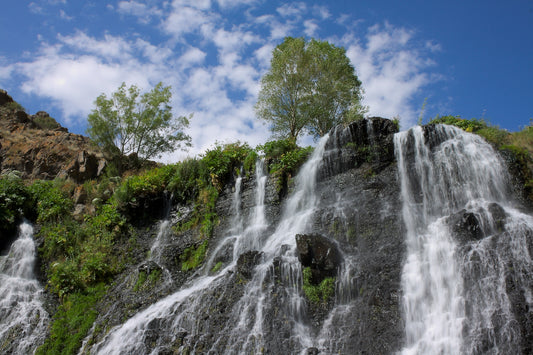 Exploring Nature for Beauty Benefits